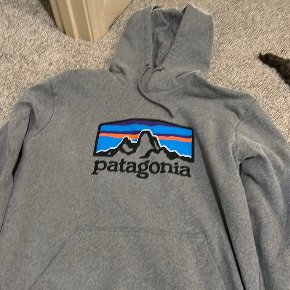 Patagonia hoodie